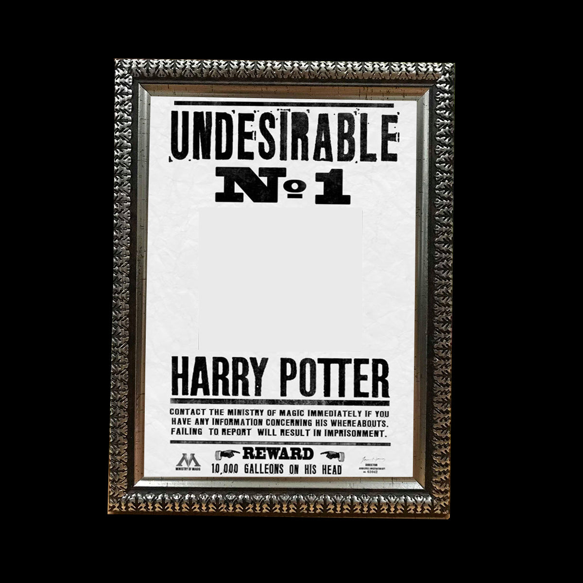 B-HP1 Personalised Photo Frame Collage Poster Harry Potter Home Decor Size 6 inch x 8 inch (Black and White)