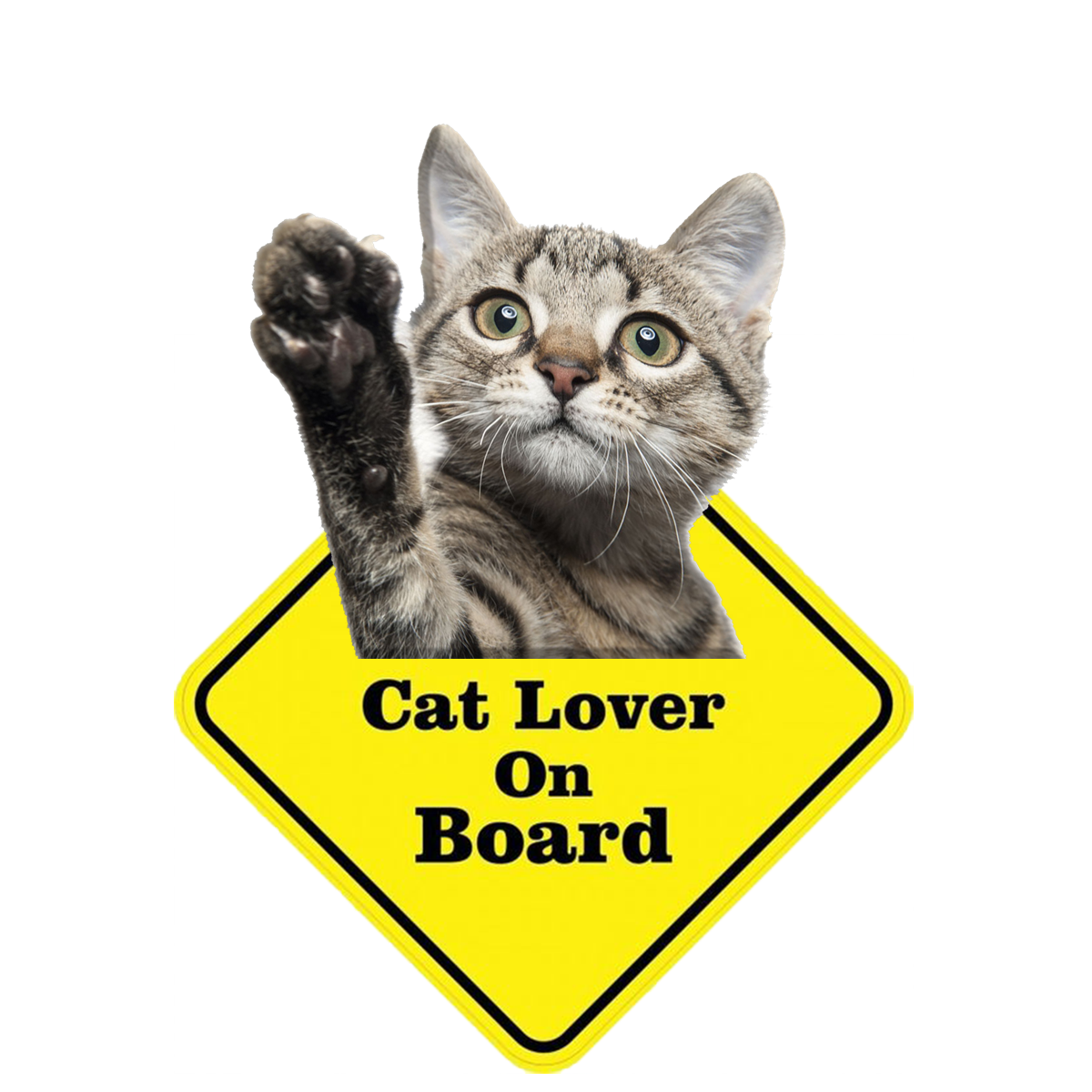 Personalised CAT LOVER ON BOARD Safety Sticker Car Vinyl Stickers Decals Accessories